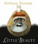 Cover of Little Beauty