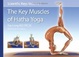 Cover of Scientific Keys Volume I