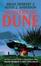 Cover of "Hunters of Dune"