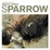 Cover of 'Sparrow'