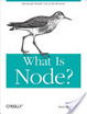 Cover of What is Node.js?