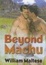 Cover of "Beyond Machu"