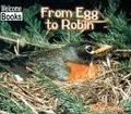 From Egg to Robin