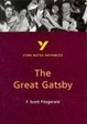 Cover of York Notes on F.Scott Fitzgerald's 