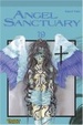 Cover of Angel Sanctuary Bd. 19