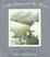 Cover of Little Bunny on the Move