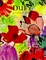 Cover of Dufy