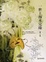 Cover of "一世上海未完緣"