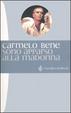 Cover of Sono apparso alla Madonna