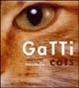Cover of Gatti ­Cats