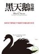Cover of 黑天鵝效應