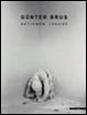 Cover of Gunter Brus