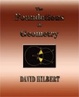 Cover of The Foundations Of Geometry