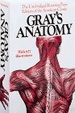 Cover of Gray's Anatomy Descriptive and Surgical