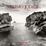 Cover of Mimmo Jodice