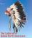 Cover of The Cultures of Native Americans