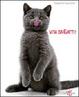 Cover of Vita da Gatti!