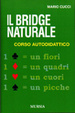 Cover of Il bridge naturale