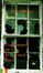 Cover of The Mistery of the Abandoned Pint