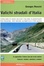 Cover of Valichi stradali d'Italia