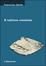 Cover of Il cattivo cronista