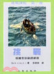 Cover of 挑戰