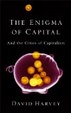 Cover of The Enigma of Capital