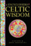 Cover of "Encyclopedia of Celtic Wisdom"