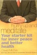 Cover of Hurry Up and Meditate