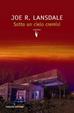 Cover of Sotto un cielo cremisi