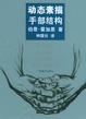 Cover of 动态素描·手部结构