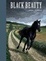 Cover of Black Beauty