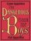 Cover of 'The Dangerous Book for Boys'