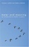 Cover of "Meter and Meaning"