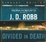 Cover of Divided in Death