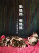 Cover of 勤媽媽懶媽媽