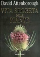Cover of La vita segreta delle piante