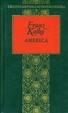 Cover of America (il disperso)
