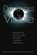 Cover of Darkness Visible