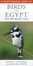 Cover of "A Photographic Guide to Birds of Egypt and the Middle East"