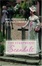 Cover of The Steepwood Scandals