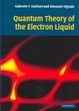 Cover of Quantum Theory of the Electron Liquid