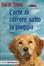 Cover of L'arte di correre sotto la pioggia