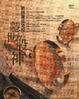 Cover of 戰勝畢菲特的隱世股神