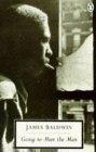 Going to Meet the Man (Penguin Twentieth Century Classics)