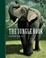Cover of "The Jungle Book"