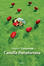 Cover of Camilla Portafortuna