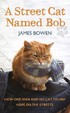 Cover of A Street Cat Named Bob
