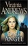 Cover of "Dark Angel"