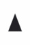 Cover of The Triangle